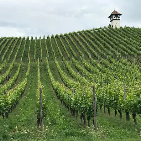 Appartement Lakewinds Meersburg