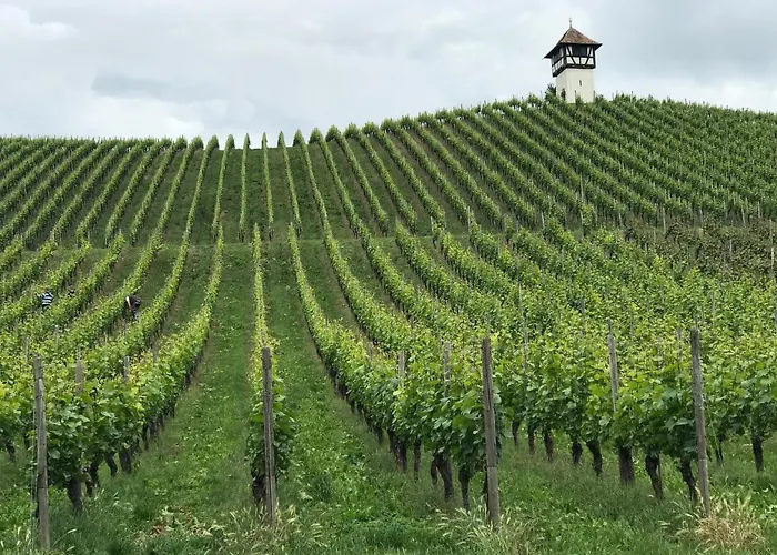 Appartamento Lakewinds Meersburg